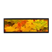 14.5Inch 2560X720 Wide Monitor